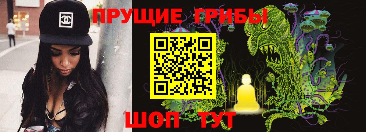 Псилоцибиновые грибы прущие грибы  Вход с VPN  Псилоцибиновые грибы GOLDEN TEACHER  Сызрань 